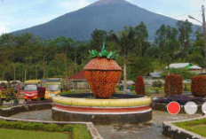 Wisata Kopeng Paling Memikat Hati Cocok Untuk Menghirup Kesegaran, Cek Ulasan Selengkapnya Disini