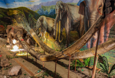 Pesona Tersembunyi Sragen Dari Wisata Purba, Relaksasi Alam dan Kehangatan Budaya