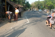 Adu Banteng di Jalan Srandakan Bantul, Pengendara Motor Meninggal Dunia