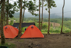 Camping Kaliadem, Cara Baru Menikmati Keindahan Merapi dari Dekat