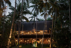 Panduan Restoran Pilihan di Ubud Dari Kafe Artistik hingga Jamuan Romantis di Tepi Sungai