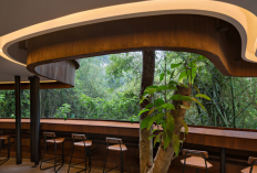 Daftar Rekomendasi Kafe Paling Estetik dan Ikonik di Kawasan Ubud