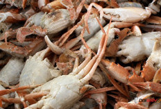 Warung Kepiting Saus Pedas di Sleman Ini Tawarkan Olahan Baby Crab dengan Harga Terjangkau
