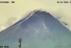 Awan Panas Guguran Gunung Merapi Meluncur 1,5 Km, Status Masih Siaga