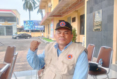 Bantul Diterjang Hujan Deras, BPBD Tindak Cepat Tangani Pohon Tumbang, Longsor, dan Jembatan Putus