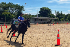 Menemukan Ketenangan di Alam Lewat Wisata Berkuda di Kalimantan Selatan 