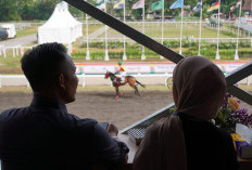 Indonesia Horse Racing King's Cup Series Piala Paku Alam 2026 Hadirkan 156 Kuda, Jadi Ajang Bergengsi 