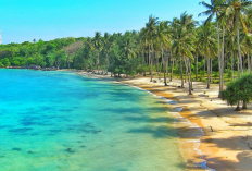 Menikmati Keindahan Alam Karimun Jawa Bukan Cuma Snorkling Loh, Simak Ulasan Lengkapnya Disini