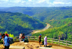 Surga Tersembunyi di Yogyakarta Ini Jadi Rekomendasi Tempat Camping dan Wisata Alam Hits 2026