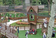 Magnet Liburan Akhir Tahun 2025/2026, Berikut Daftar Destinasi Paling Favorit di Tasikmalaya, Berikut Infonya