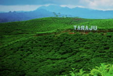 Rekomendasi Destinasi Mutiara Priangan Timur Tasikmalaya Paling Wajib Dikunjungi, Simak Referensi Lengkapnya