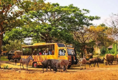 Rekomendasi Tempat Wisata Bali Ramah Anak yang Seru dan Edukatif