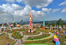 Asyik! Tiket Masuk Taman Bunga Celosia Bandungan Diskon 50% Khusus Pelajar dan Karyawan Pabrik 