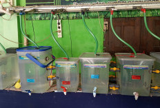 Sekolah Air Hujan Banyu Bening Ajarkan Warga Kelola Air Hujan Jadi Air Bersih