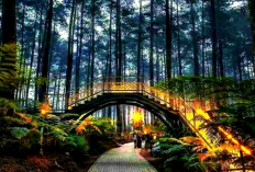 Rekomendasi Destinasi Wisata Edukasi Alam Ramah Anak di Bandung, Simak Informasi Selengkapnya Disini