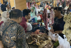 Pastikan Daging Sapi Bebas Gelonggongan, Dinas Pertanian Yogyakarta Sidak Pasar