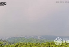 Awan Panas Guguran Terjadi Jumat Sore, Suplai Magma Gunung Merapi Masih Berlangsung