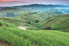Menikmati Keseruan Aktivitas Outdoor Tempat Wisata Keluarga Terbaik di Cimahi 2026 
