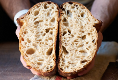 Daftar Toko Roti Sourdough di Bogor Terbaik Paling Nikmat, Sehat dan Harga Mulai Rp9 Ribuan Saja