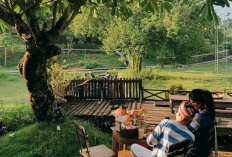 Liburan Semakin Seru, Daftar Aktivitas Wisata Unik dan Autentik di Yogyakarta Cek Info Selengkapnya Disini