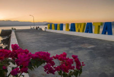 Wisata Pantai Lawata Kota Bima: Daya Tarik Indah dengan Topografi Paling Unik, Simak Disini