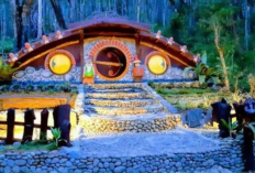 Menikmati Sensasi Glamping Mewah di Desa Wisata Songgo Langit Mangunan