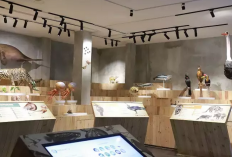 Liburan Seru? Ini Daftar Destinasi Wisata Pilihan di Kawasan Cibinong Bogor