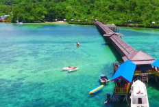Menjelajahi Destinasi Eksotis Terbaik dari Pesisir Memukau Pantai Sulawesi Barat 2026