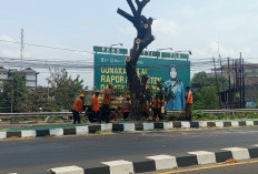 Antisipasi Angin Kencang, Dahan Pohon Perindang  Berbahaya di Jalan Brawijaya Ring Road Barat DIY Dipangkas