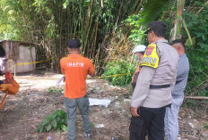 Jejak Sunyi di Condongcatur, Polisi Telusuri Misteri Bayi Prematur yang Ditemukan Tertimbun Batu di Area Kebun