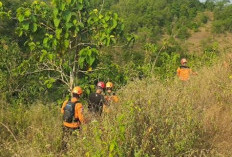 Pencarian Mbah Bajiyo Dilanjutkan, Tim SAR Perluas Penyisiran di Kawasan Hutan Selorejo