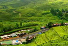 Eksplorasi Wisata dari Pesisir Banten Sampai Kesejukan Pegunungan Favorit Warga Jakarta, Berikut Infonya