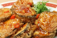 Solusi Masak Praktis Cara Membuat Terong Lapis Ayam yang Gurih dan Menggugah Selera