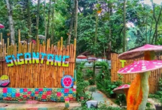 Destinasi Rekreasi yang Ramah Kantong Menampilkan Pesona Taman Wisata Sigantang