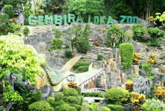 Menjelajahi Pesona Satwa Wisata Gembira Loka Zoo Yogyakarta, Simak Informasi Selengkapnya Disini