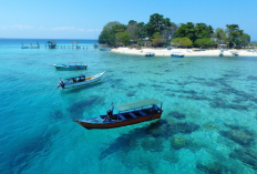 Wisata Pulau Samalona Makassar 202, Pesona Snorkeling Cantik