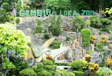 Informasi Lengkap Wisata Gembira Loka Zoo Tahun 2026 Sebagai Rekreasi dan Edukasi di Jogja