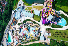 Eksplorasi Seru Wahoo Waterworld dan Penawaran Menarik Awal Tahun 2026