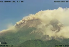 Gunung Merapi Kembali Luncurkan Awan Panas Senin Siang, Jarak Luncur 1.300 Meter ke Kali Krasak