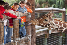 Destinasi Wisata Edukasi Populer di Bandung, Update Harga Tiket Bandung Zoological Garden