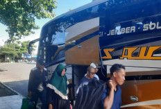 Tiket Bus ke Sumatera Naik 30 Persen, Mahasiswa Dominasi Pemudik dari Jogja