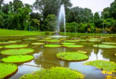 Update Destinasi dan Harga Tiket Masuk Liburan Keluarga di Bogor Februari 2026