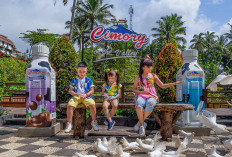 Menjelajahi Pesona Dairyland On The Valley Sebagai Rekreasi Keluarga di Semarang