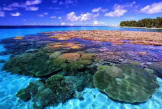 Pesona Destinasi Wisata Bahari Unggulan di Manado Paling Memukau, Simak Informasi Selengkapnya Disini