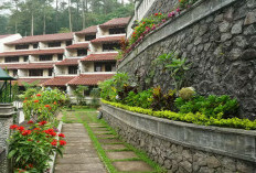 6 Daftar Destinasi Wisata Seru di Pasuruan, Tawarkan Pengalaman Berlibur Paling Menyenangkan