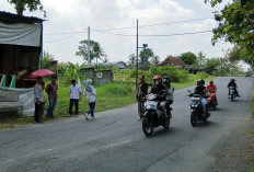 Jalan Sentolo - Pengasih Kerap Tergenang, Warga Keluhkan Rawan Kecelakaan Saat Hujan