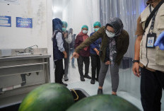 Sidak Dini Hari ke Dapur MBG Jogja, Sekda DIY Temukan Catatan Penting soal SOP