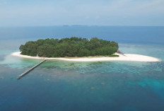 5 Destinasi Wisata Memukau di Karimunjawa dengan Lanskap Alam Memanjakan Mata, Cek Infonya Disini