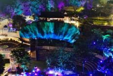 Wisata Malam Ala Negeri Dongeng Mystical Forest Dusun Bambu Cisarua Bandung yang Instagramable