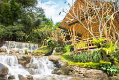 Daftar Destinasi Kuliner Lesehan Enak dan Jadi Favorit di Bogor, Simak Informasi Lengkapnya Berikut Ini